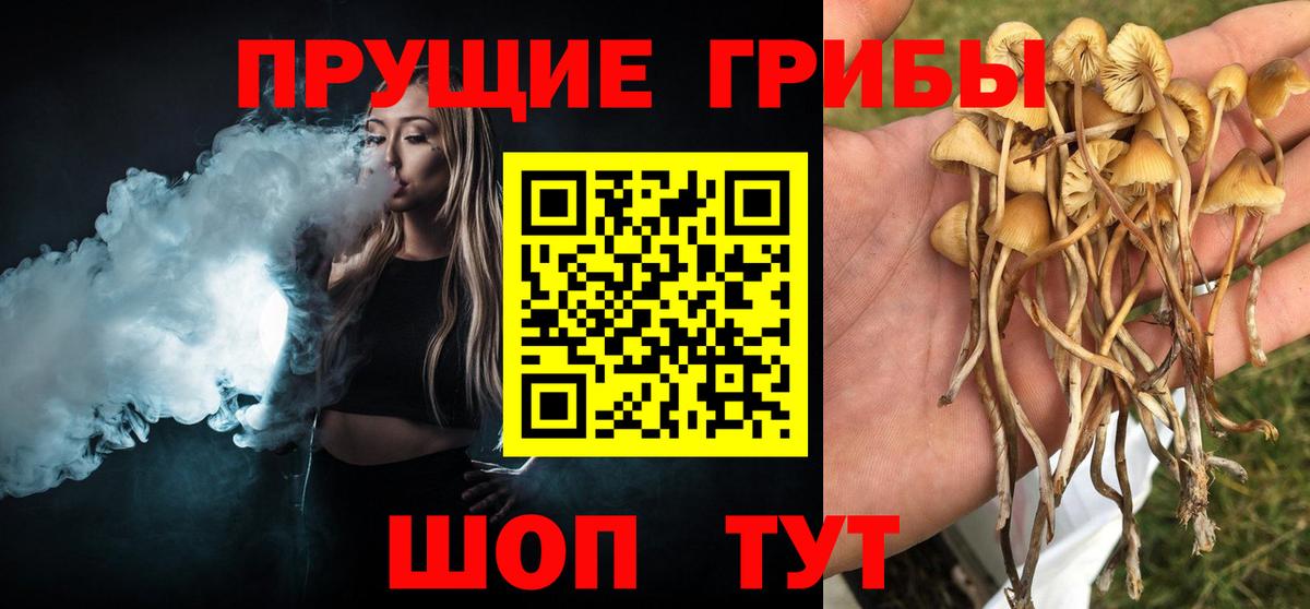 Псилоцибиновые грибы Psilocybe  где продают   Лангепас  Вход с VPN 