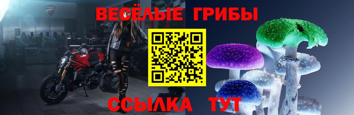 Галлюциногенные грибы Cubensis Лангепас